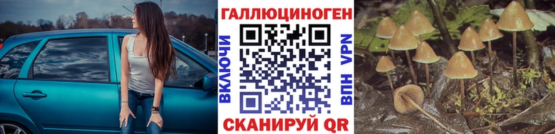 это клад  Михайлов  Галлюциногенные грибы GOLDEN TEACHER 